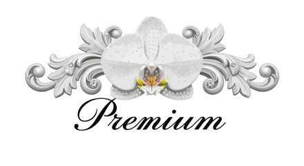 Elegant white orchid blossom with ornate gray rococo scrollwork decorative element premium design