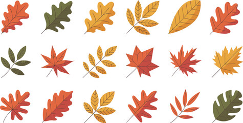 Autumn, leaves, fall, oak, maple, nature, seasonal, foliage, forest, botanicals, warm, colors, vector, outline, outlines, illustration, organic, elements, collection, set