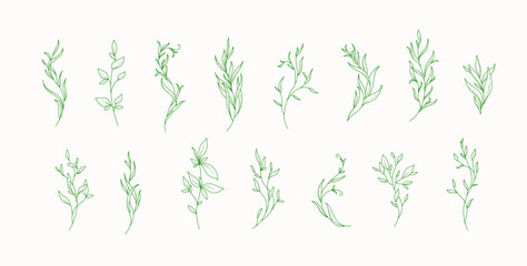 Floral set with elegant branch. Botanical foliage for wedding invitation or wall art. Vector illustration