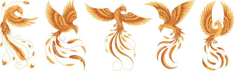 Golden phoenix bird, fire feathers, flying myth creature, fantasy rebirth symbol, magic wings, mystical flame animal, luxury vector illustration isolated on white stock background.