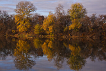 Trees in autumn colors reflected in the water