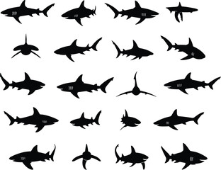 Shark silhouettes set, ocean predator vector pack, great white, hammerhead, reef and tiger shark shapes, swimming and top view poses, black isolated wildlife icons, white background bundle