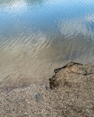 sandy pebbly shore on inland lake