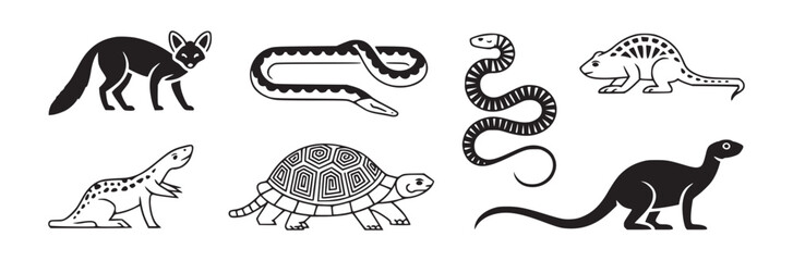 Collection of outline drawings featuring a fox, snakes, turtle, and other animal illustrations