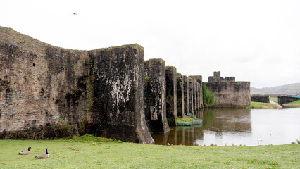 Ducks and geese by the walls of Caerphilly Castle