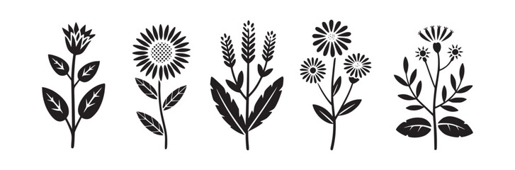 A collection of five different floral designs in black and white vector format isolated on white surface