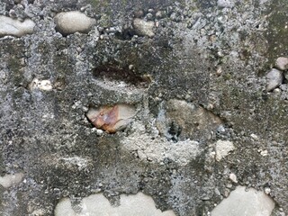 Rough Concrete Aggregate Wall Texture With Stones. A weathered concrete wall texture featuring large embedded river stones, dark damp moss patches, and a rough cement surface