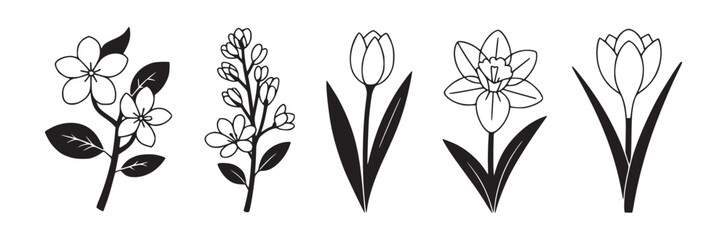 A collection of five different flower illustrations in black and white on a white background design element