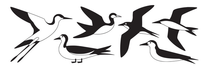 Illustration of various black and white birds in different poses isolated on a white background