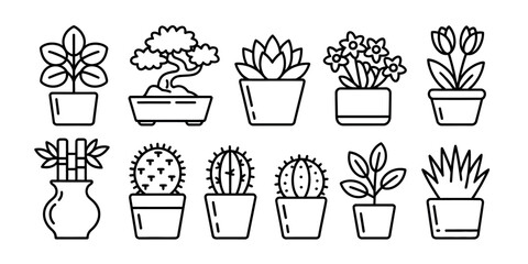 A collection of ten potted plants and cacti displayed in a line art style image