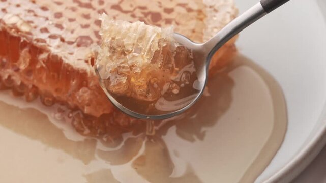 スプーンですくい上げた巣みつから滴るはちみつ