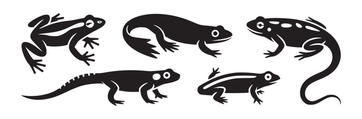 A collection of six black and white vector illustrations of various frog and salamander species
