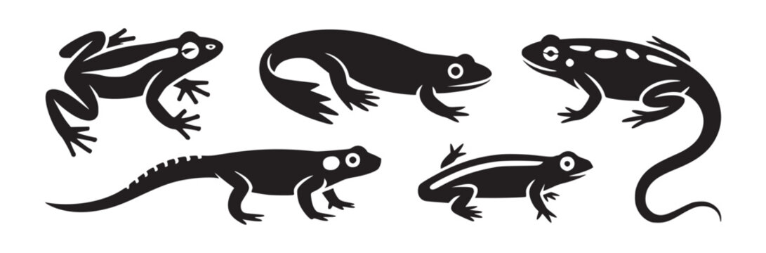 A collection of six black and white vector illustrations of various frog and salamander species