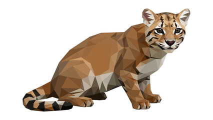 Obraz premium Geometric low poly style tiger cub on white background