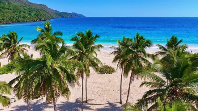 A tropical island with lush palm trees rising in a clear blue sky. Picturesque Samana Island with Rincon Beach. Palm trees in a Caribbean landscape, seen from above.