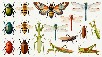 This vibrant illustration displays a diverse collection of colorful insects—including bees, ants, a beetle, dragonfly, mantises, grasshoppers, a fly, and a wasp