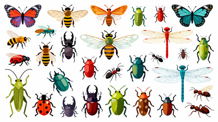 This vibrant illustration displays a diverse collection of colorful insects—including bees, ants, a beetle, dragonfly, mantises, grasshoppers, a fly, and a wasp