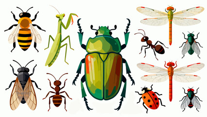 This vibrant illustration displays a diverse collection of colorful insects—including bees, ants, a beetle, dragonfly, mantises, grasshoppers, a fly, and a wasp