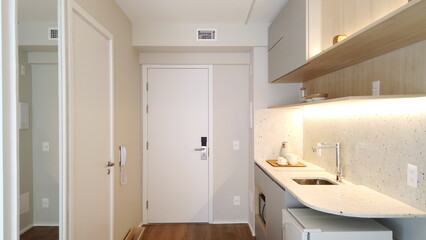 Small Kitchen in light colors. Cozy studio apartment