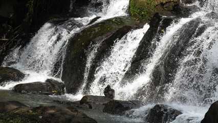 Aruvikuzhy waterfalls, Pallickathode, Kottayam, Kerala, India