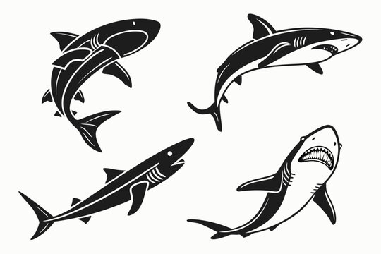 Minimalist dogfish shark icon set with nautical colors