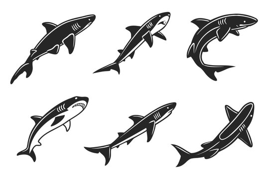 Minimalist dogfish shark icon set with ocean elements