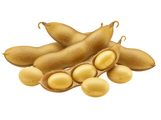 Peanuts and nuts displayed on a white background with a glass filled with peanuts as a healthy organic snack