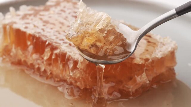 スプーンですくい上げた巣みつから滴るはちみつ