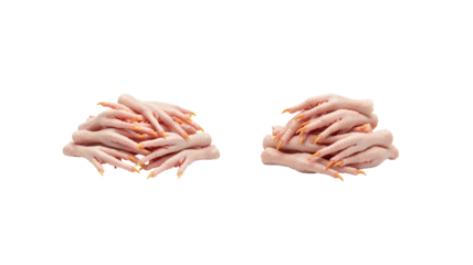 Raw Chicken Feet