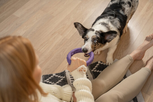 Woman playing with a dog on a wooden floor at home