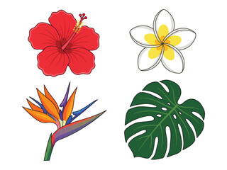 Naklejka premium A vibrant collection of four tropical plant illustrations: red hibiscus, white plumeria, bird of paradise, and a green monstera leaf.