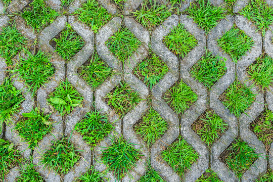 Interlocking concrete patterns with green grass inserts