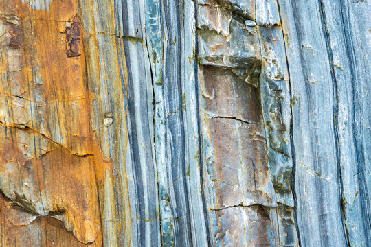 Multicolor texture of a sea rock