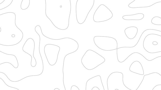 Seamless Topographic Map Lines Background  Abstract Contour Pattern in White
