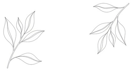 Minimalist leaf outline design for decoration and art use
