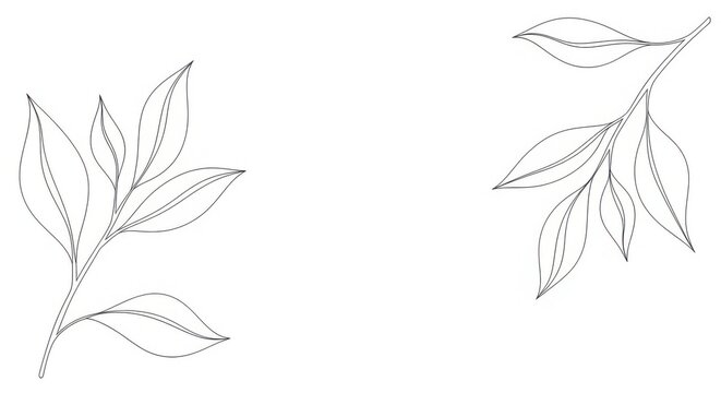 Minimalist leaf outline design for decoration and art use