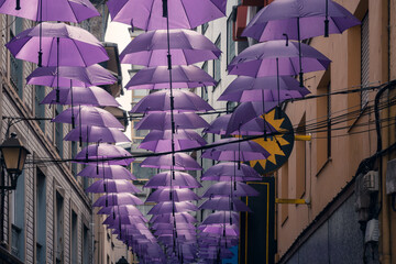 Purple umbrellas adorn Luarca street in summer