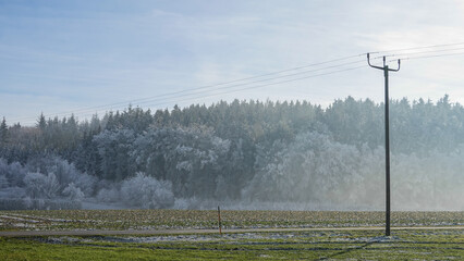 Winterspaziergang mit Rauhreif