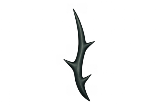 Black thorny stem with sharp spikes on transparent background