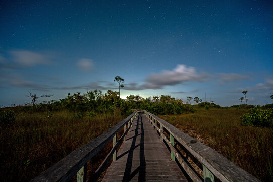 Mahogany Hammock boardwalk and surrounding pinelands and sawgrass prairie in Everglades National Park, Florida under bright three quarter moon.