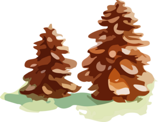 Two stylized gingerbread pine trees with layered cookie-like branches stand on a patch of soft green icing snow in a warm holiday-themed illustration.