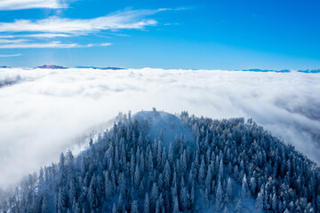 Winter Mountain Peak Above Cloud Inversion on a Sunny Day &mdash; Snowy Forest and Sea of Fog