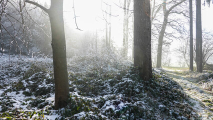 Winterspaziergang mit Rauhreif