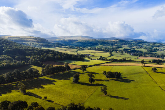 Aerial view of the vibrant green fields, patches of dark forest, and rolling hills under a vast blue sky, St. Davids, Wales, United Kingdom.