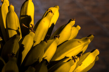 A vibrant, golden bunch of ripe yellow bananas, packed closely together. This close-up highlights the texture and fresh appeal of the popular tropical fruit, perfect for food and health concepts.