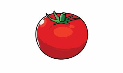 tomato on a white background