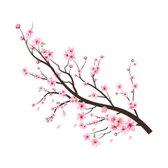 Fototapeta premium pink cherry blossom