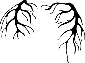 Black silhouette of roots isolated on white background	