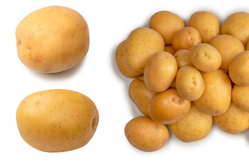 A group of fresh tasty potato isolated on white background.