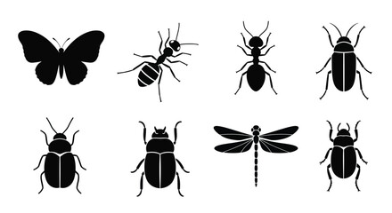 Black silhouettes of various insects including butterflies and beetles